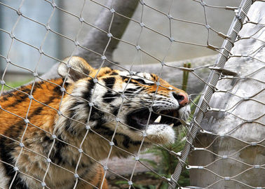 Πλέγμα ζωολογικών κήπων ανοξείδωτου 316/316L, προστατευτική περίφραξη περιφράξεων κλουβιών τιγρών