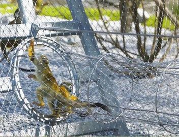 316 Ferrule πλέγμα ζωολογικών κήπων ανοξείδωτου σχοινιών καλωδίων καλωδίων τύπων για την αλιεία με δίχτυα πουλιών δικτύου κλουβιών